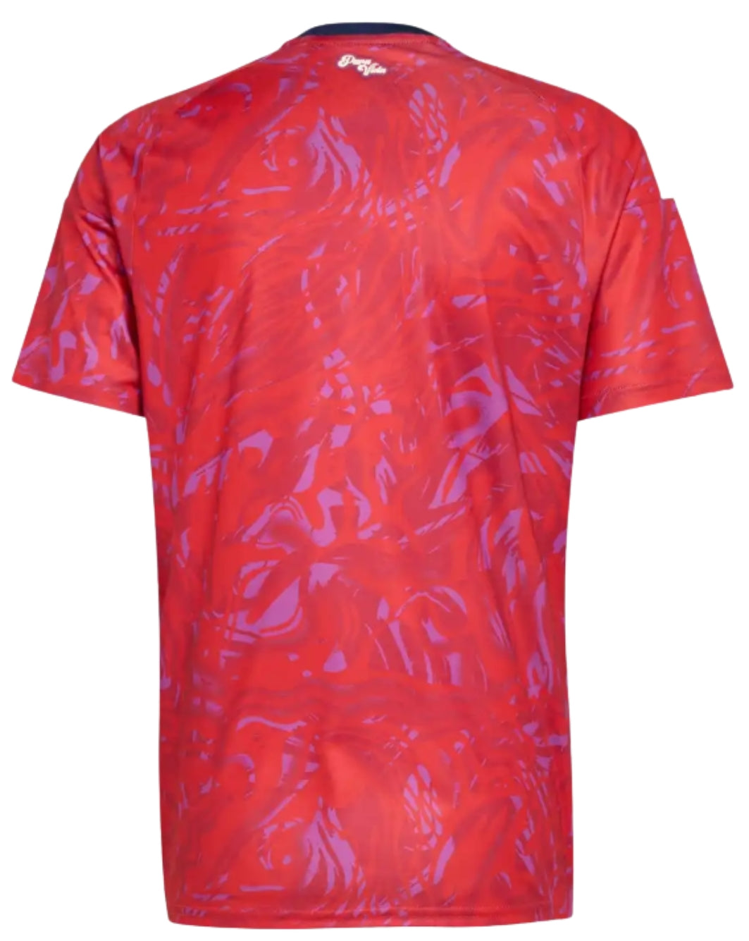 CAMISETA SELECCIÓN COSTA RICA 2026