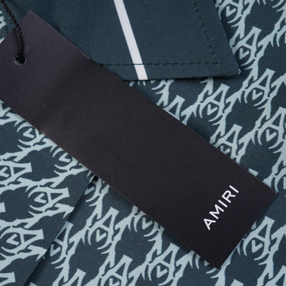 Conjunto AMIRl