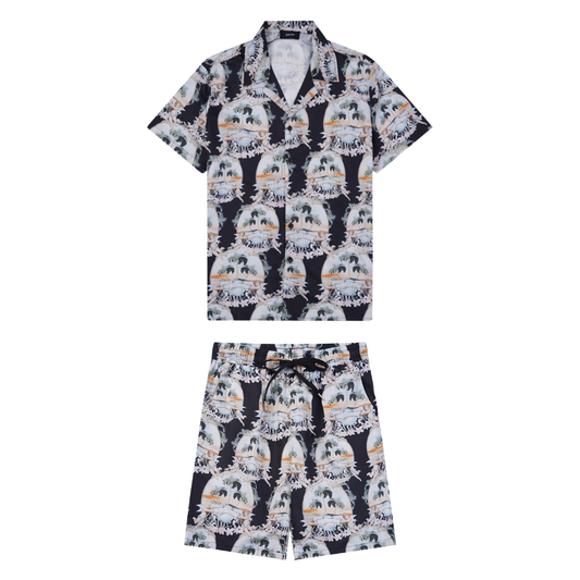 Conjunto AMIRl
