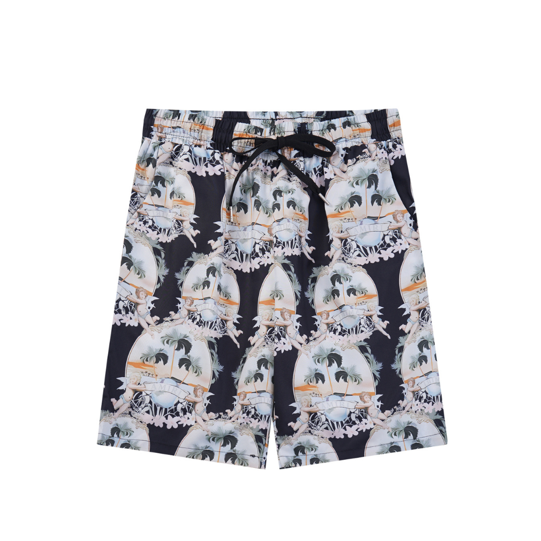 Conjunto AMIRl