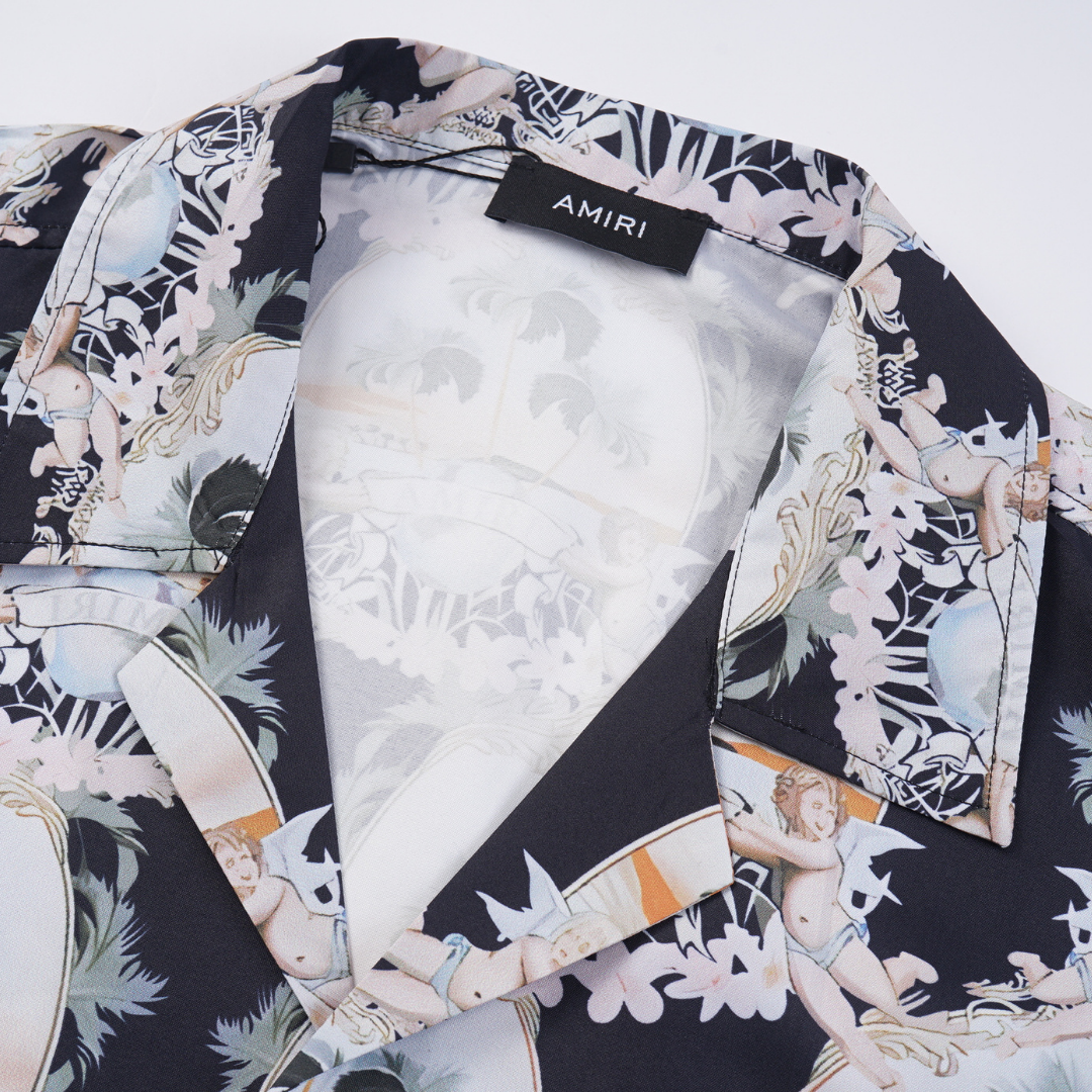Conjunto AMIRl