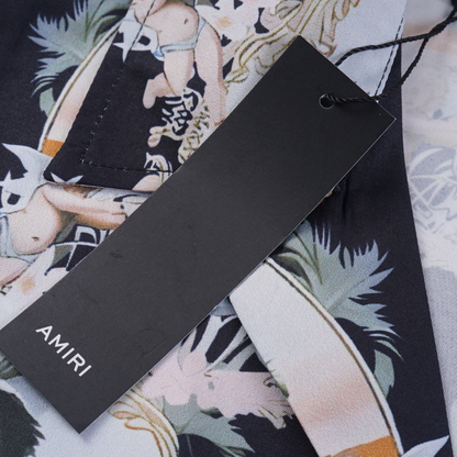 Conjunto AMIRl