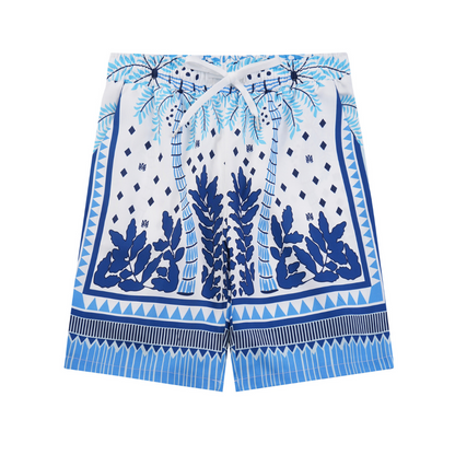 Conjunto AMIRl