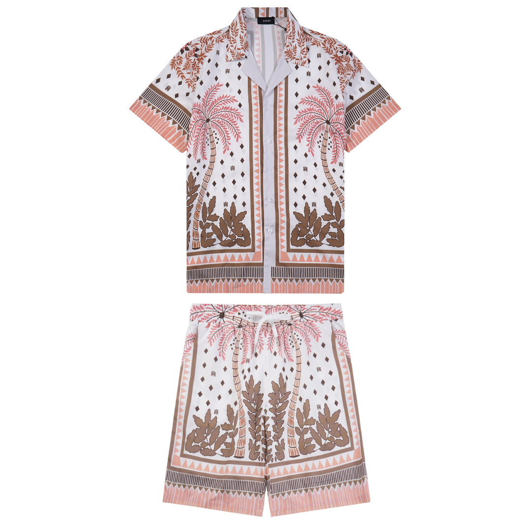 Conjunto AMIRl
