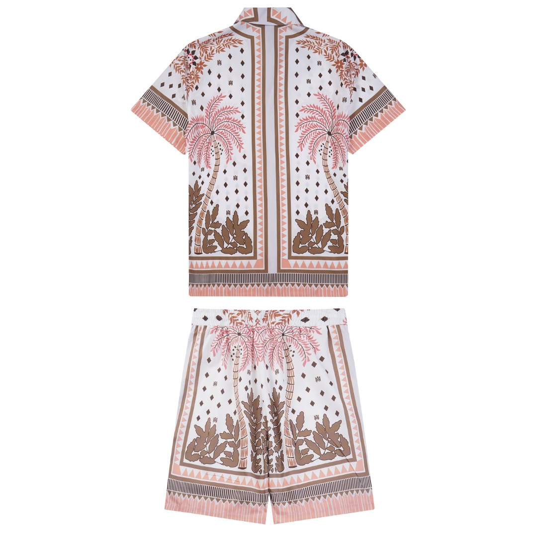 Conjunto AMIRl