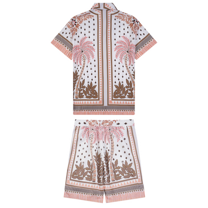 Conjunto AMIRl