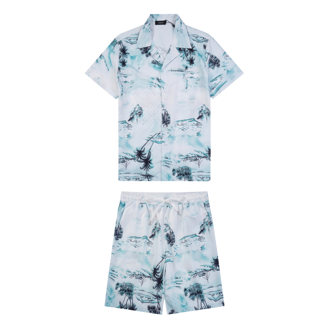 Conjunto AMIRl