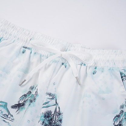Conjunto AMIRl