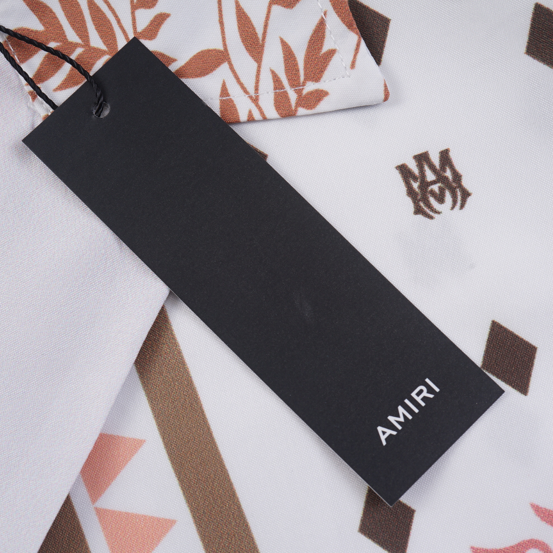 Conjunto AMIRl