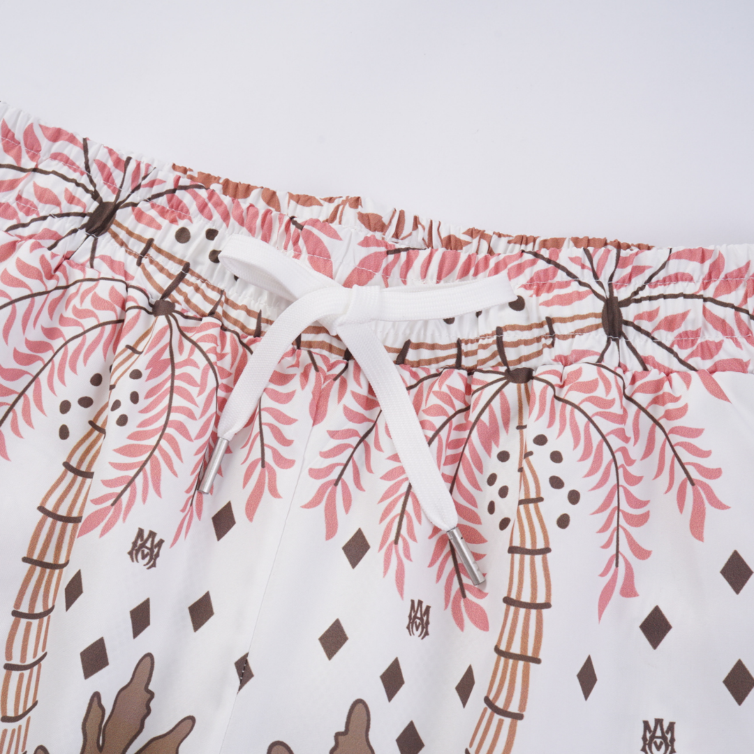 Conjunto AMIRl