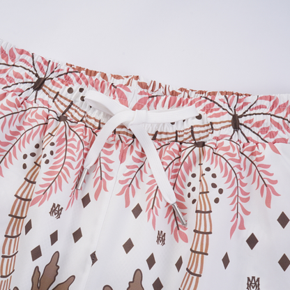 Conjunto AMIRl
